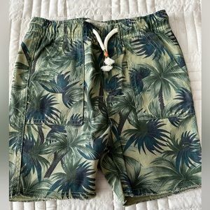 Zara boys size 6 palm tree print shorts (like new)